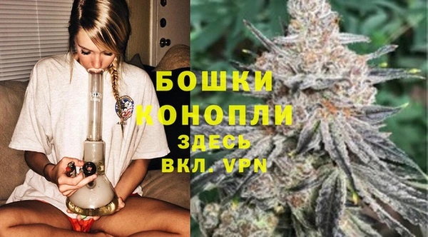 дурь Елабуга