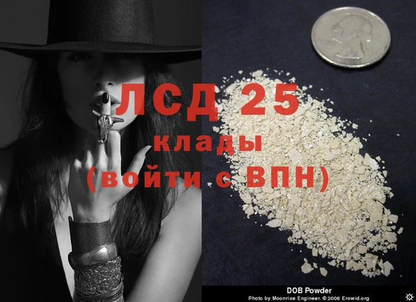 кокс Ельня