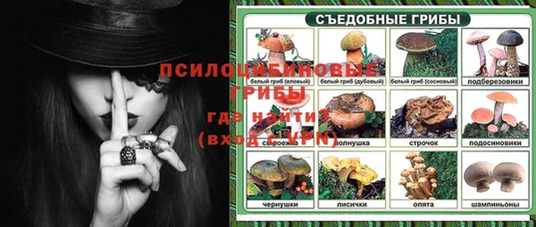 дурь Елабуга
