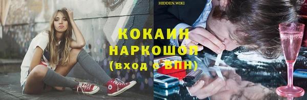 кокс Ельня