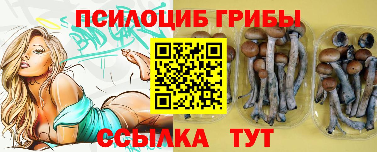 Псилоцибиновые грибы мухоморы  Вход с VPN  Галлюциногенные грибы ЛСД  Кушва 